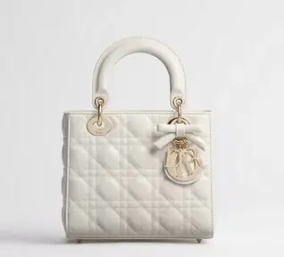 Dior  Lady 小型包附背帶-