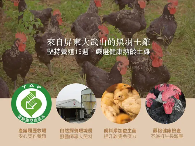 農純鄉-常溫滴雞精(8入*50ml/盒)