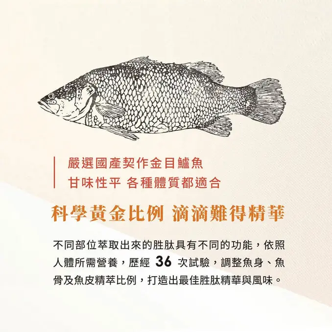 Anyong 安永鮮物【安永】鱸魚精 健康御品 60ml 6入/盒 (禮盒 送禮 常溫)