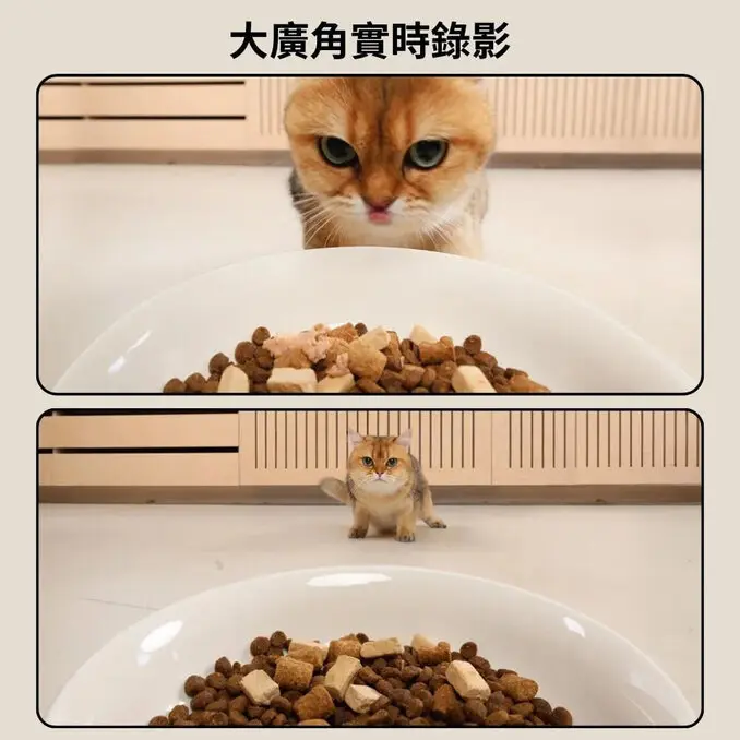 meoof 覓凹蛋捲餵食器 視訊版 獨享碗
