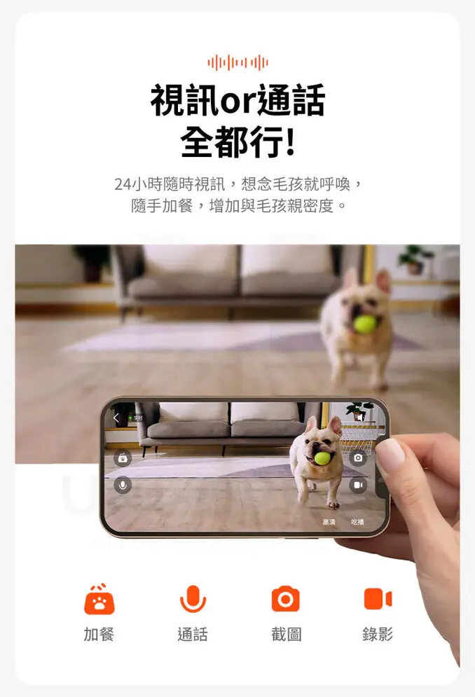 Petkit 佩奇雙子星智能寵物餵食器攝影版