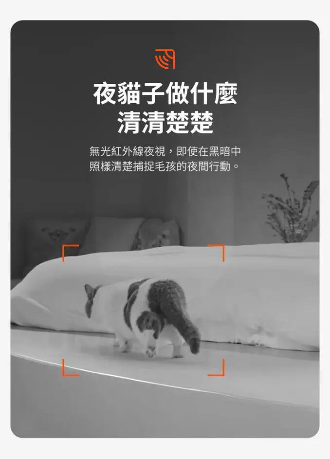 Petkit 佩奇雙子星智能寵物餵食器攝影版