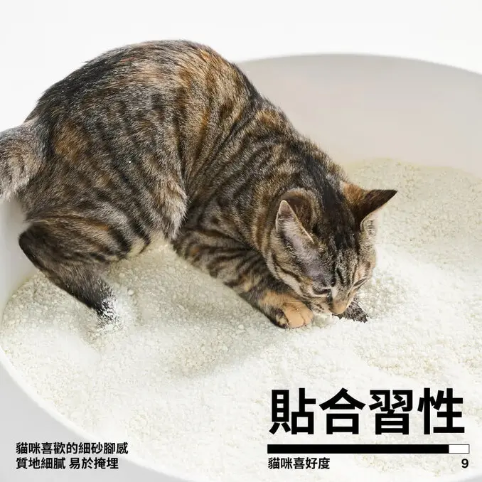 PIDAN木薯貓砂/豆腐貓砂/木薯豆腐貓砂 2.4kg*4包組(共9.6kg) 木薯砂、豆腐砂、植物貓砂混合