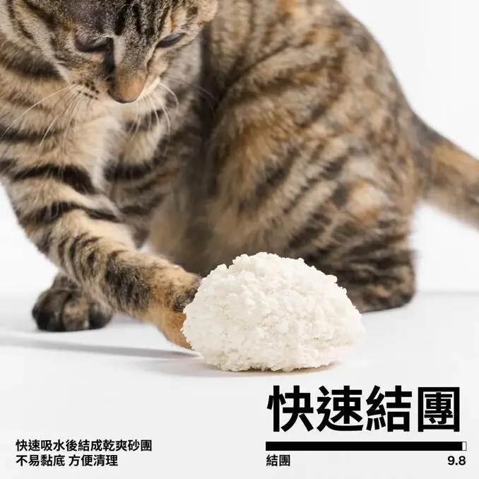 PIDAN木薯貓砂/豆腐貓砂/木薯豆腐貓砂 2.4kg*4包組(共9.6kg) 木薯砂、豆腐砂、植物貓砂混合